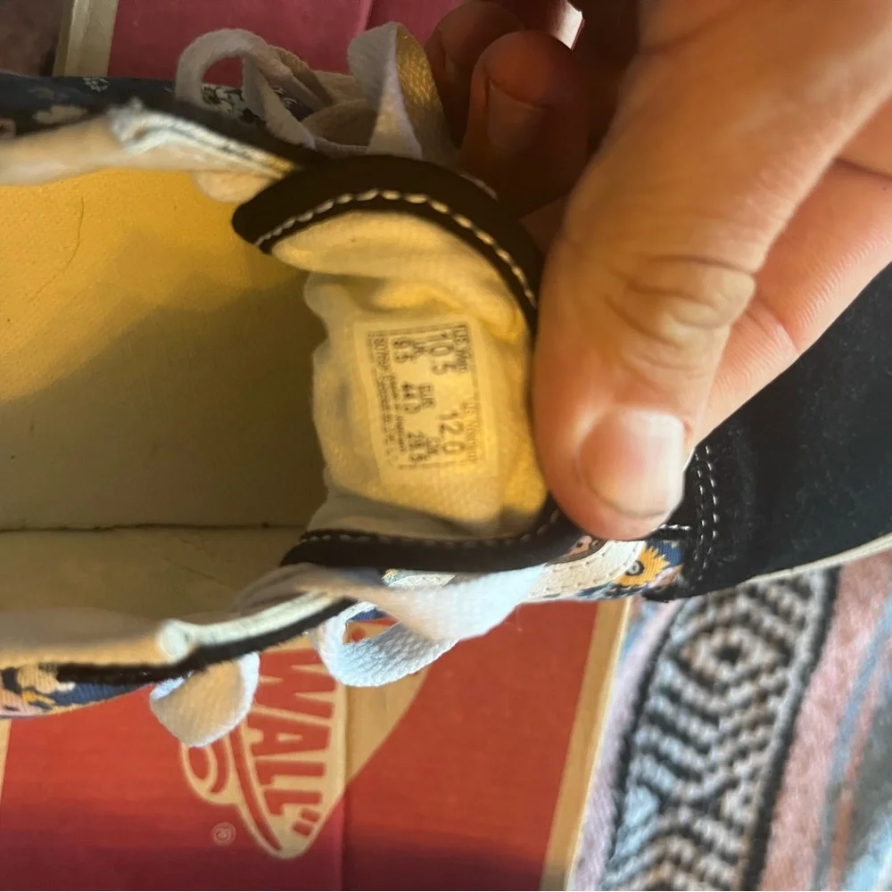 Custom Vans - Picture 4 of 5